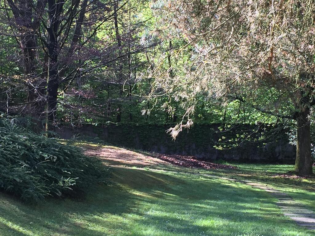 Bed&Garden Bed & Breakfast Cesate Exterior foto