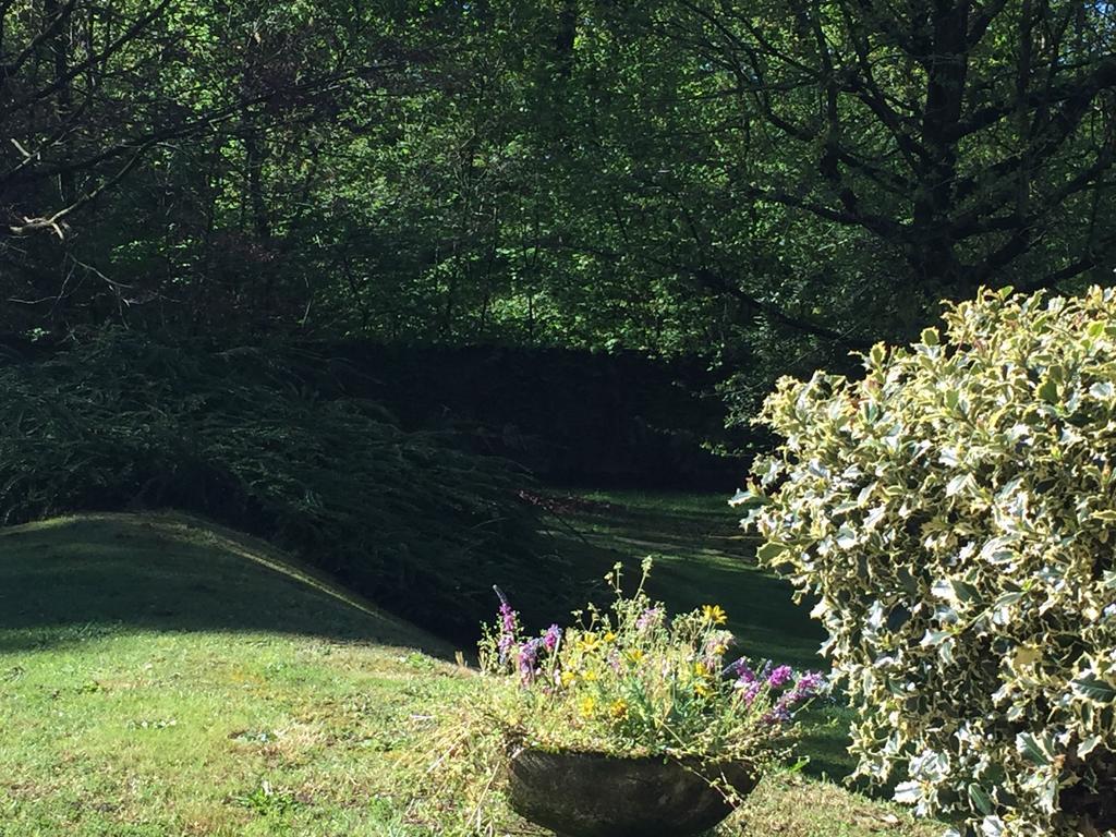 Bed&Garden Bed & Breakfast Cesate Exterior foto