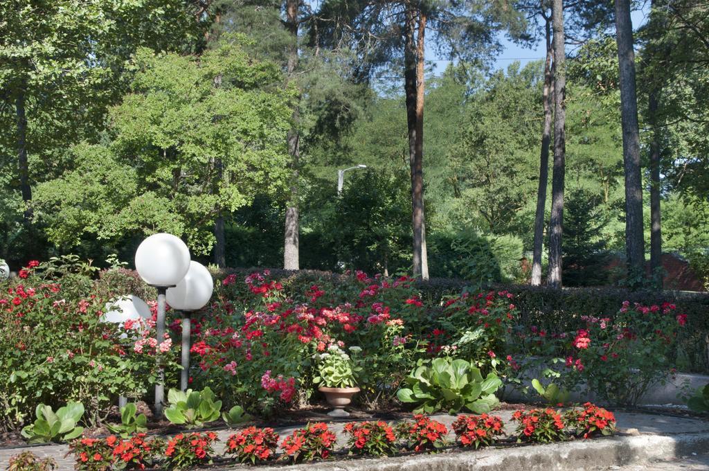 Bed&Garden Bed & Breakfast Cesate Exterior foto